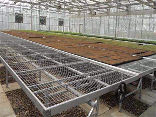 苗床網(wǎng)片